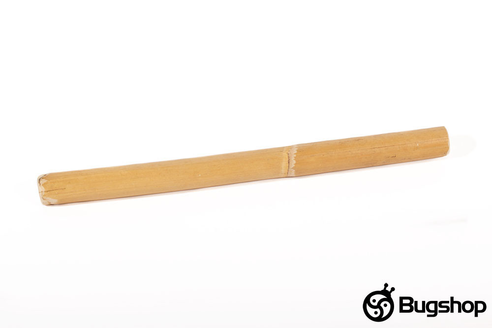 Alivestick