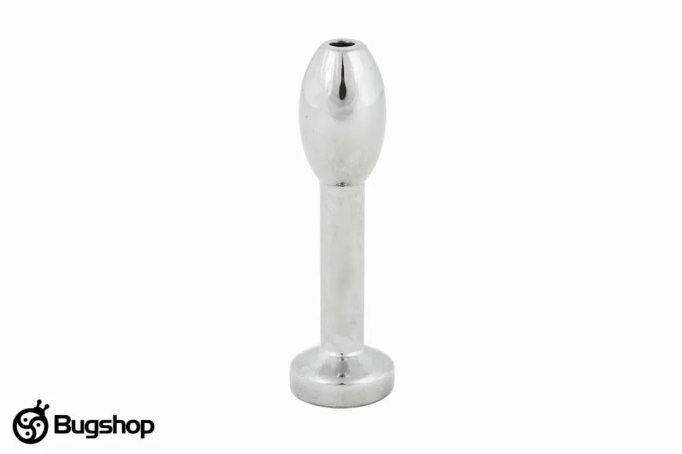 Penis plug