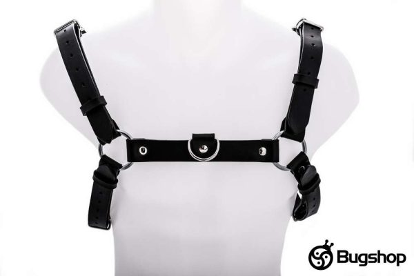 Harness typ H