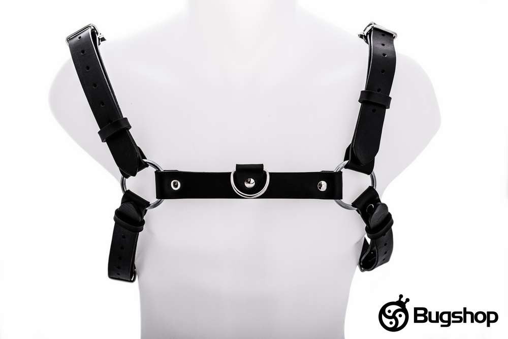 Harness typ H