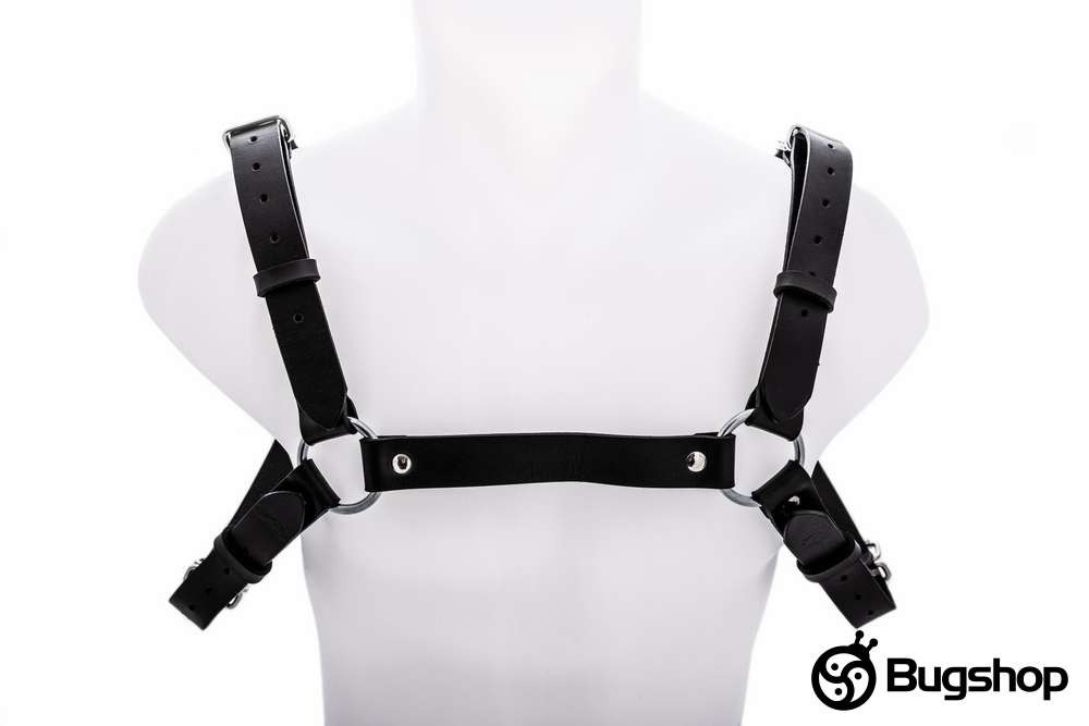 Harness typ H
