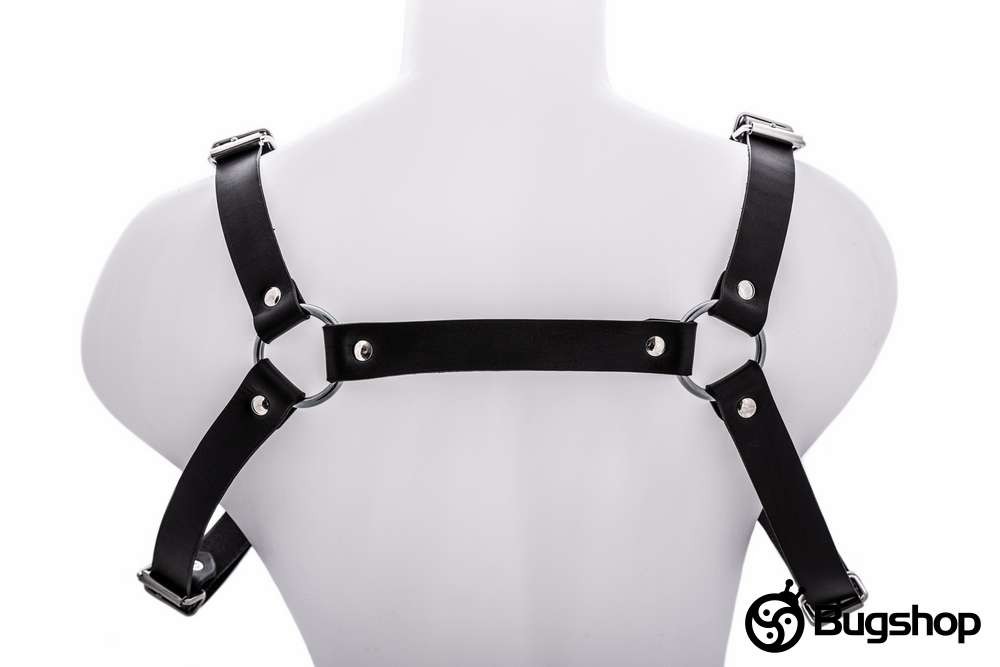 Harness typ H