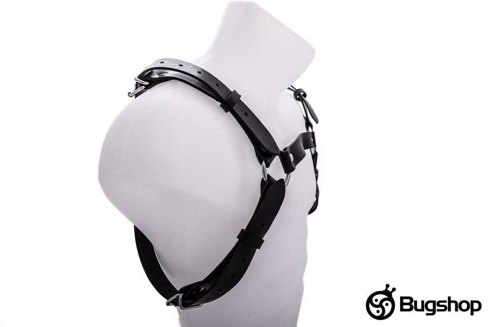 Harness typ H