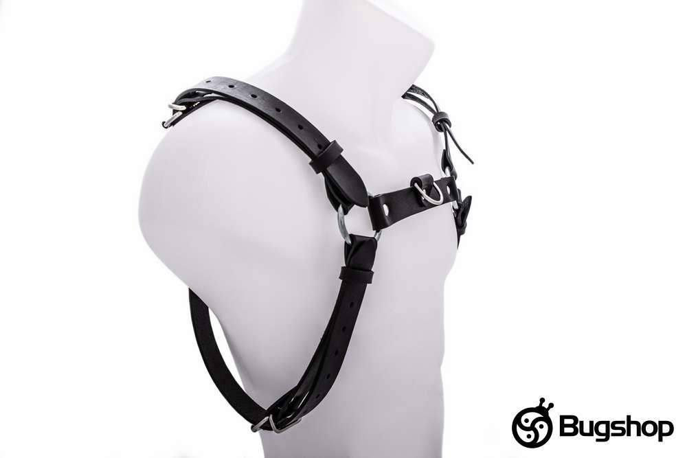 Harness typ H