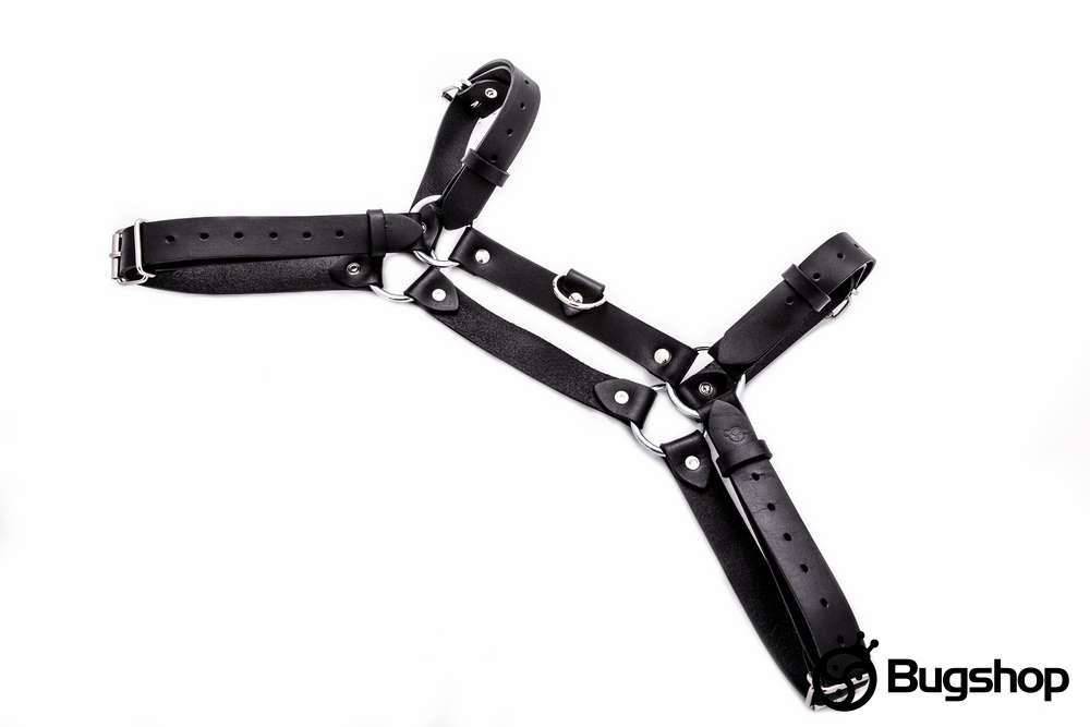Harness typ H