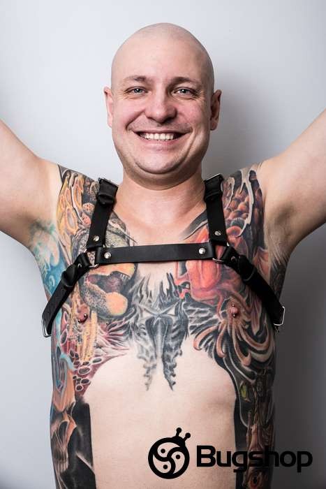 Harness typ H