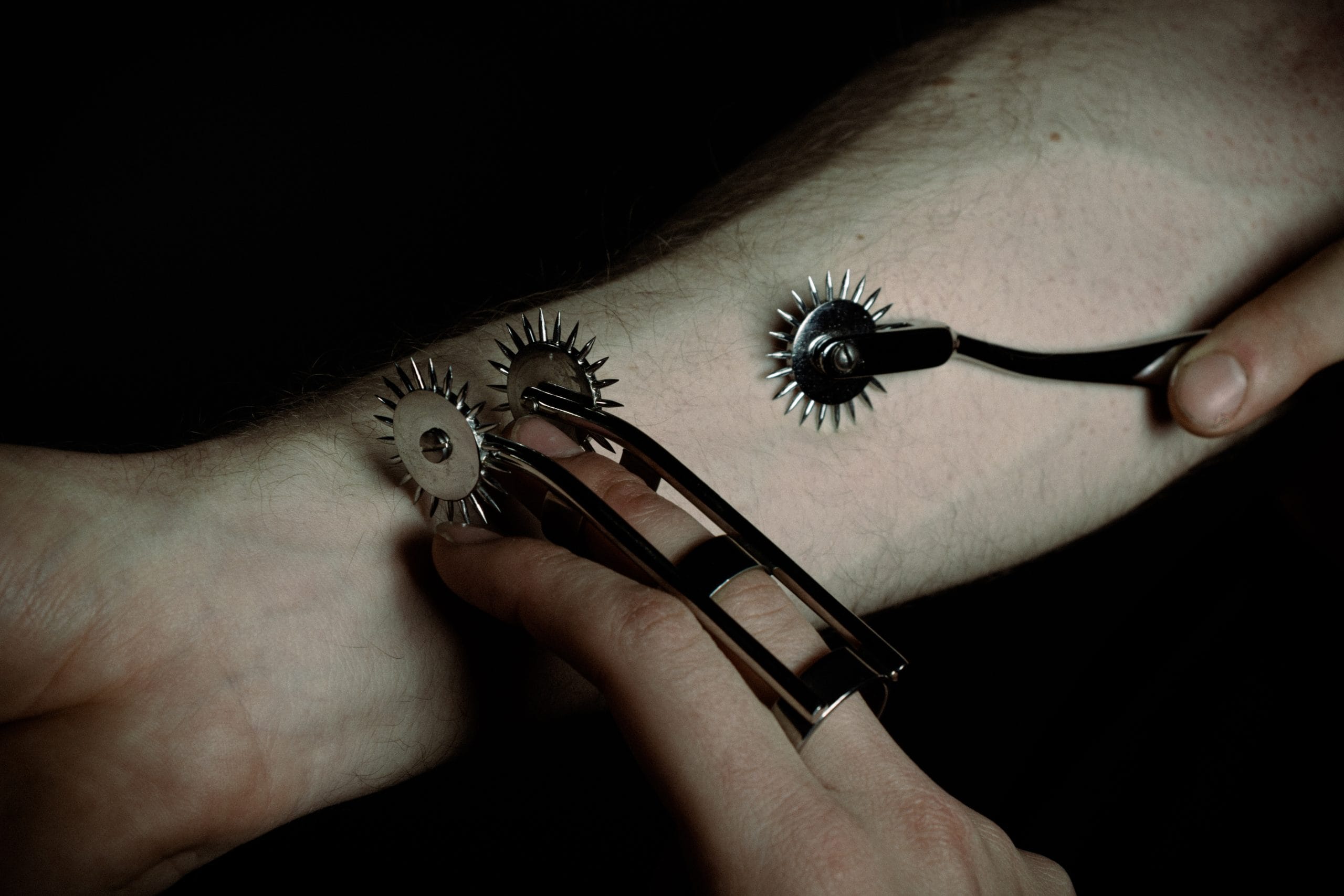 Wartenberg sada